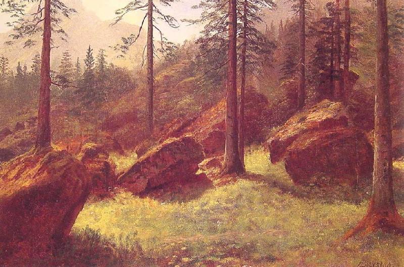 Albert Bierstadt Wooded Landscape Spain oil painting art